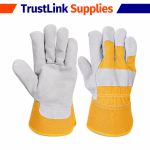 Leather Hand gloves-FS-107-CX